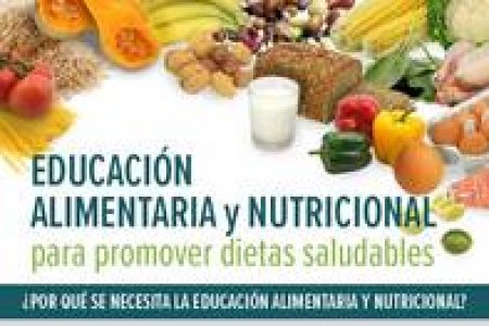 QUE ES EDUCACION ALIMENTARIA