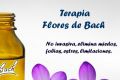 UTILIZAR FLORES DE BACH PARA CALMAR