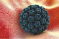 QUE ES HPV Y CUALES SON SUS CAUSAS