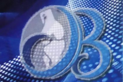 TRAUMATOLOGO - ORTOPEDIA