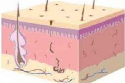 DERMATOLOGIA CLINICA