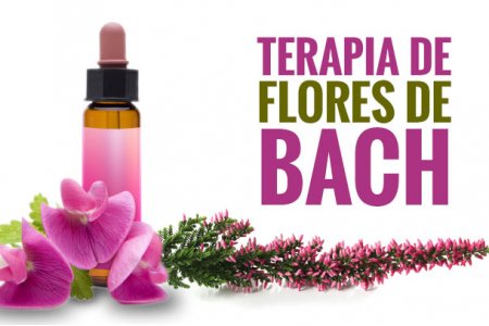 TERAPIA DE FLORES DE BACH