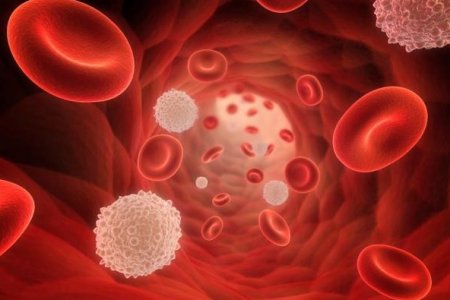 HEMATOLOGIA