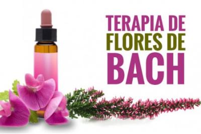TERAPIA DE FLORES DE BACH